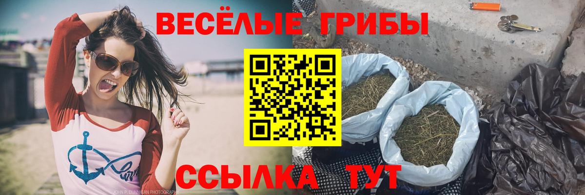 Галлюциногенные грибы Cubensis  Галлюциногенные грибы ЛСД  Новоуральск  Вход с VPN 
