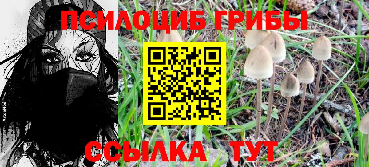 Псилоцибиновые грибы GOLDEN TEACHER Новоуральск